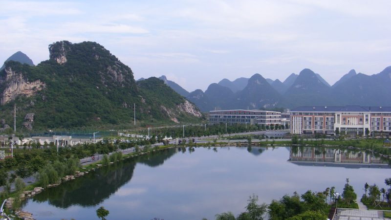 连接器：电子设备中的“桥梁”，如何选择合适的批发供应商？**